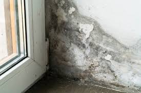 Water Damage, Mold